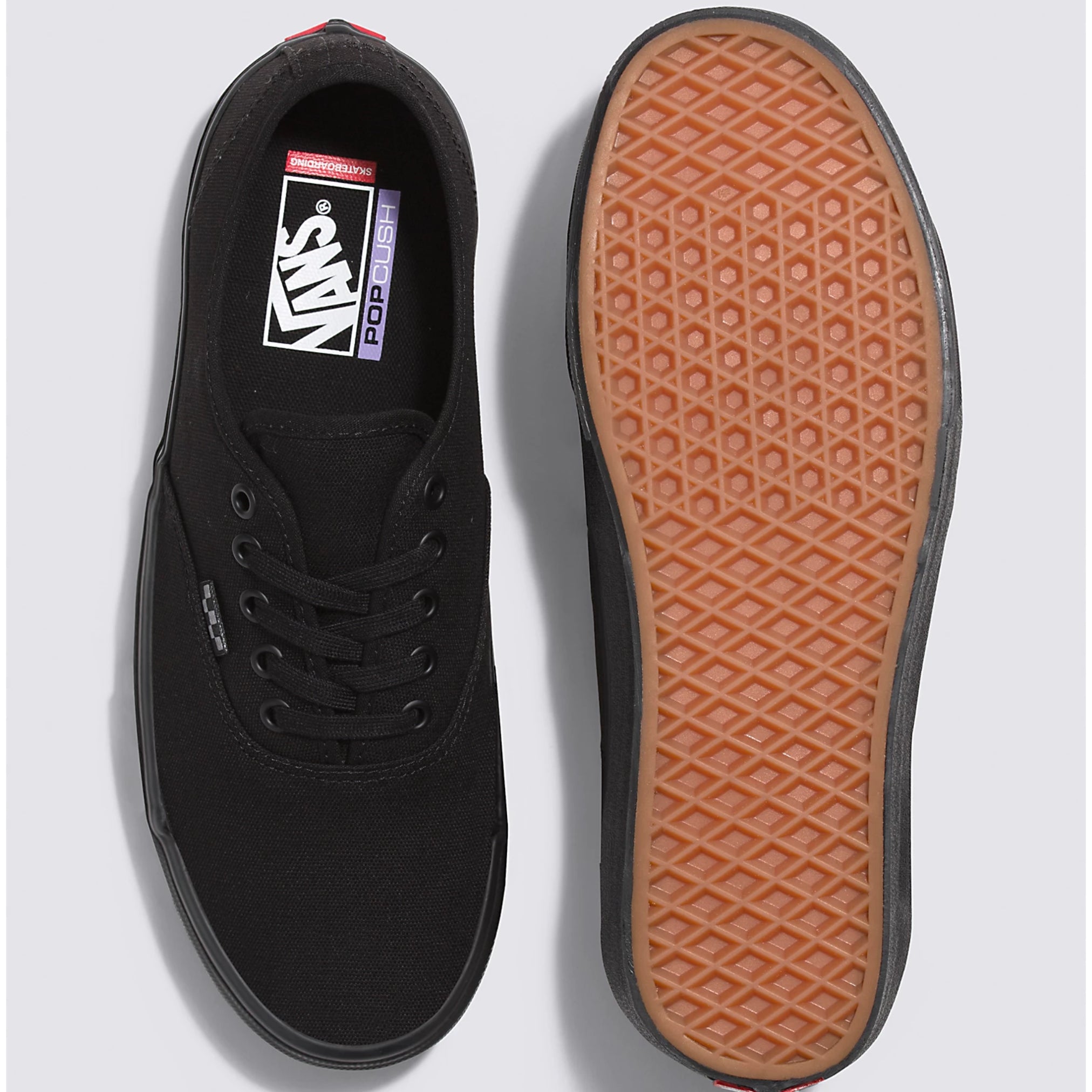 Vans Men's Skate Authentic